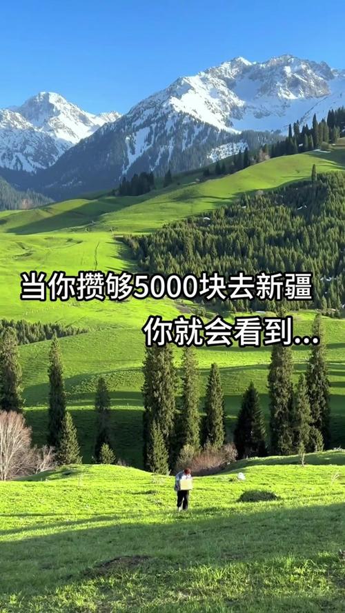 下载中心 第230页