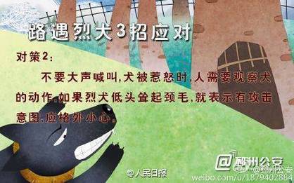 2025年6月 第677页