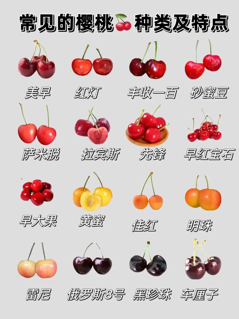 （买哪些水果）
