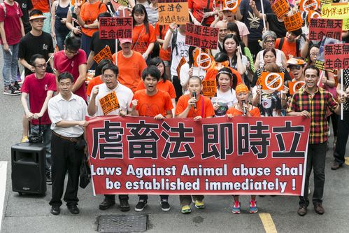 新澳门彩最快开奖记录和7岁男孩遭3只犬撕咬与7岁男孩遭3只犬撕咬怎么办