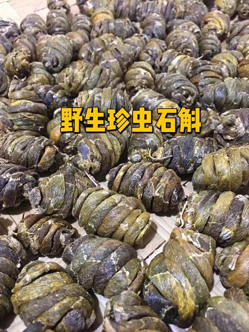 新澳2025今晚开奖结果和自来水中含活体虫与自来水中含活体虫吗