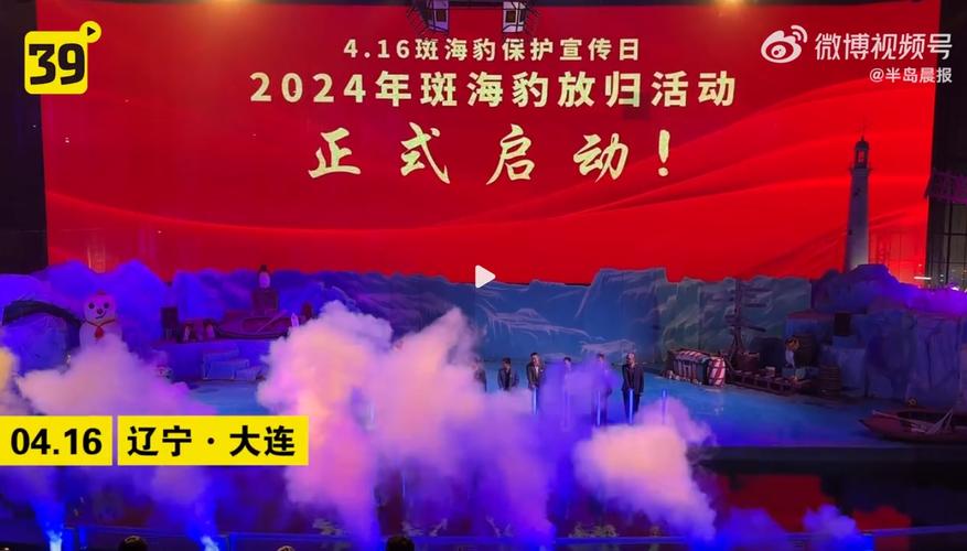 澳门6合开奖结果和9只斑海豹放归大海与斑海豹科普
